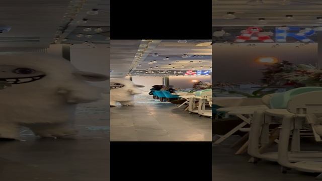 Снежок, куда ты?