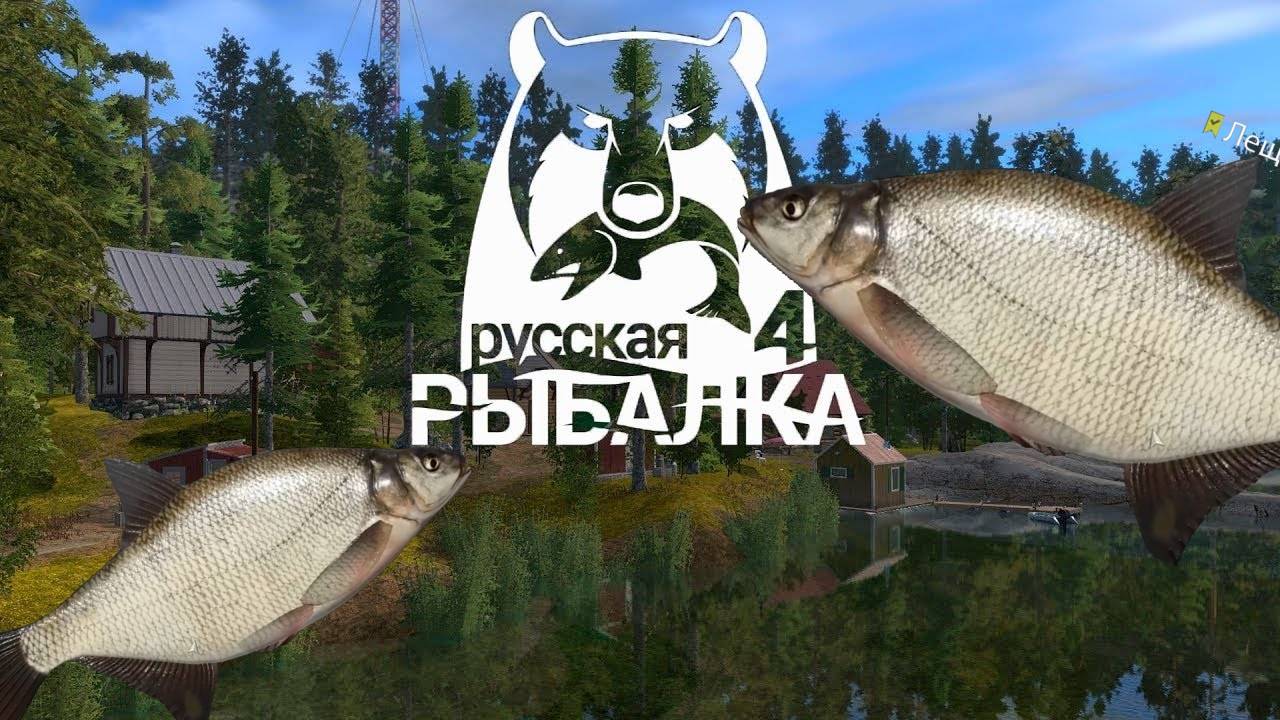 Фарм леща на озере Старый Острог