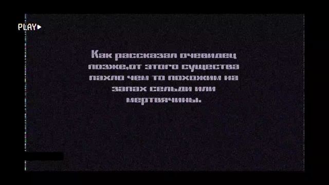 дорожник.мп4