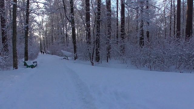 ЦПК и О 4 января 2025 года
