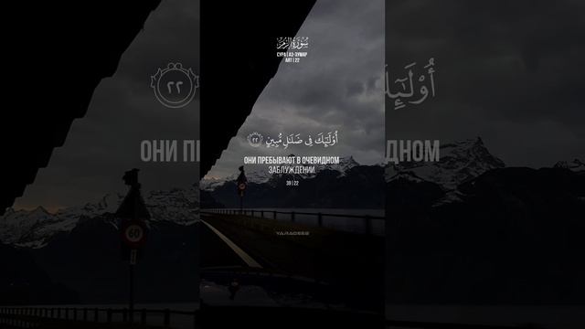 Сура "Аз-Зумар" аят 22 | Мухаммад аль-Люхайдан