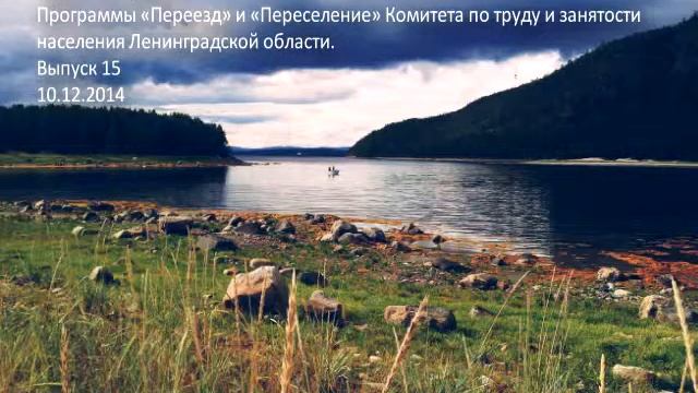 Выпуск 15