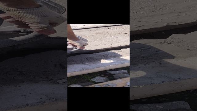 1000032417.mp4