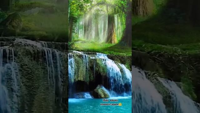 Сказочная красота и анекдот. #анекдот #юмор #шутки #красота #настроение #позитив #природа