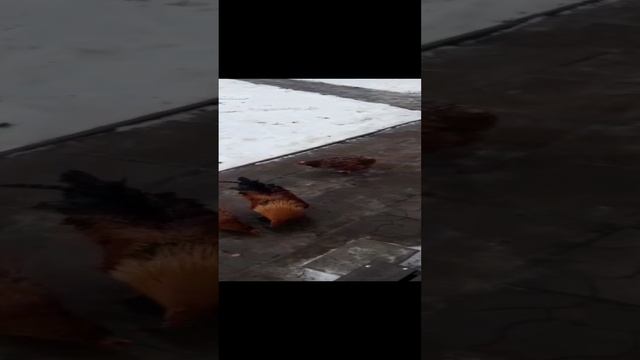 Поздравление с Новым годом