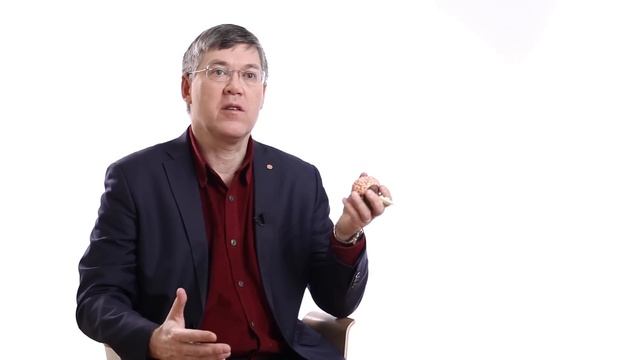 Устройство и работа мозга — курс Вячеслава Дубынина на ПостНауке