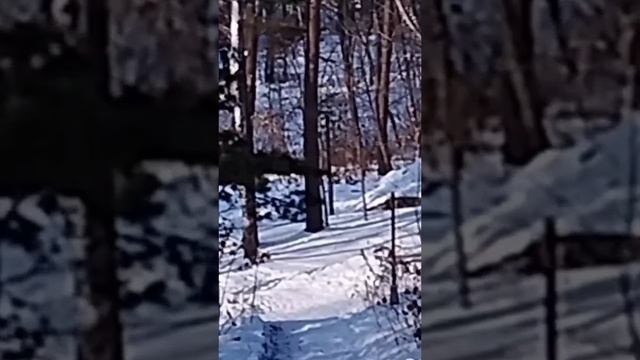 1000084430.mp4ро