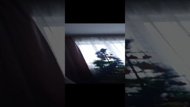 моя жизнь то есть ЛËВКИ333