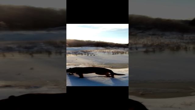 Приход Воды_20250101_125046.mp4