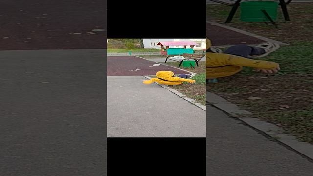 1000000650.mp4