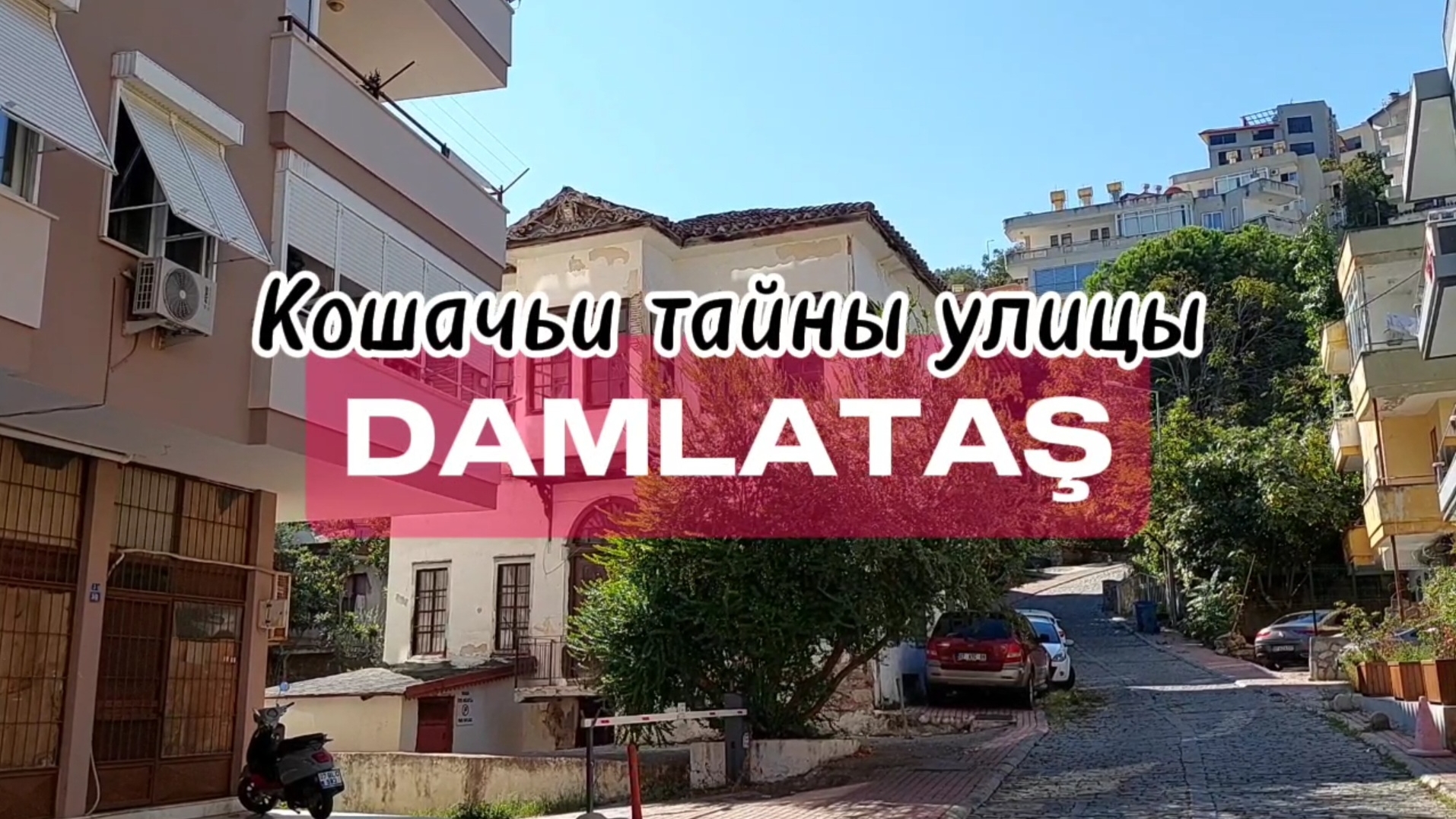 Дамлаташ. Кошачий путь в Аланье #аланья #клеопатрабич #дамлаташ #влог #отеливаланье #гуляем #обзор