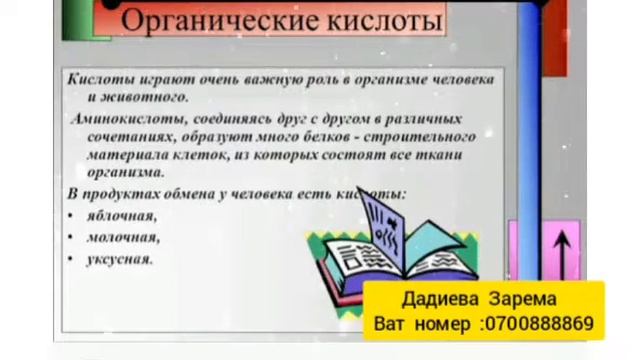 Атоми Морская капуста