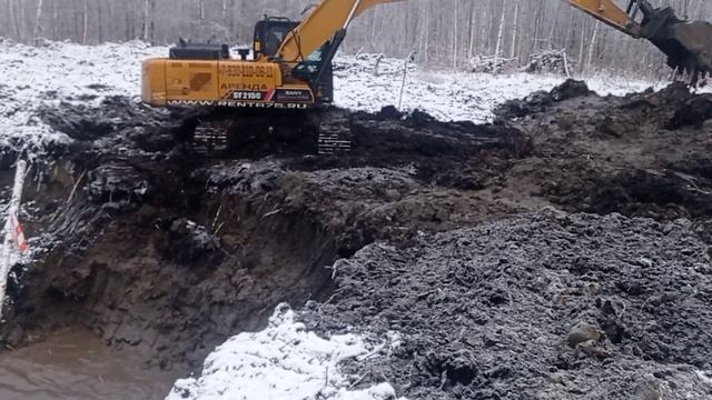 Копаем пруд на участке экскаватором! #копаемпрудэксковатором