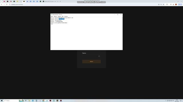 bandicam 2025-01-04 10-56-06-828
