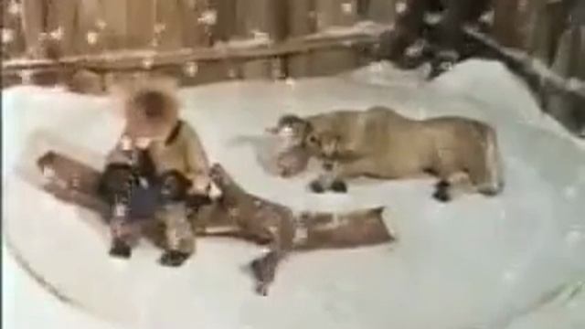 Как старик корову продавал 1980