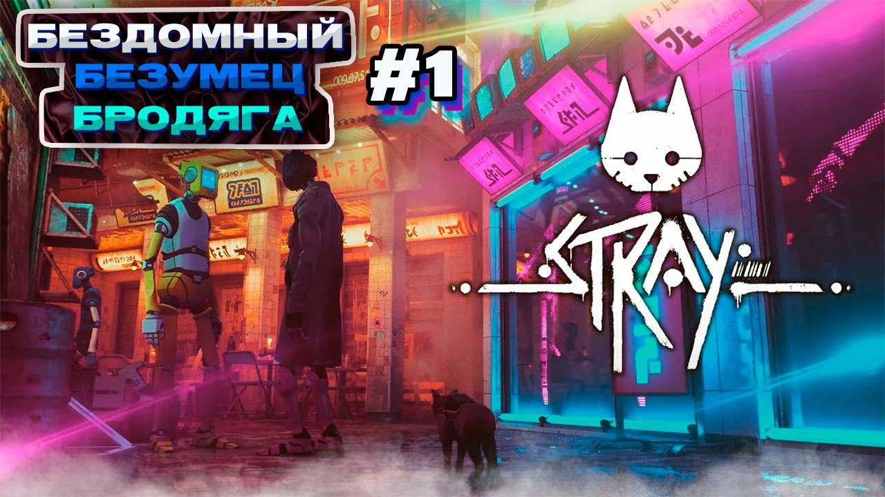 БЕЗДОМНЫЙ БРОДЯГА КОТ - Stray #1