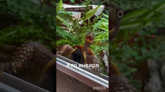 жизнь прекрасна #😂# тренды # рекомендации # юмор