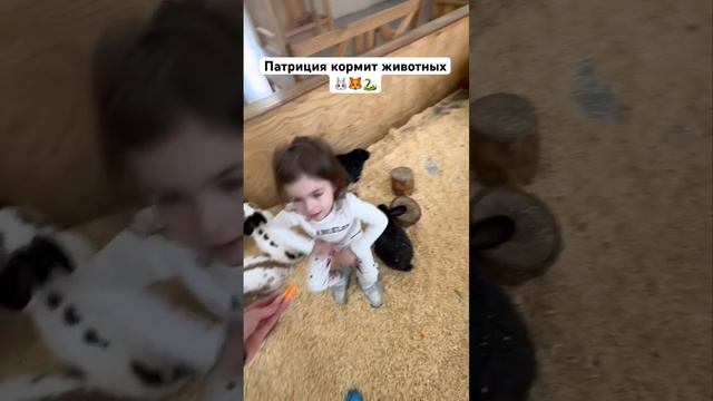 Кормим животных в Стране Енотии!