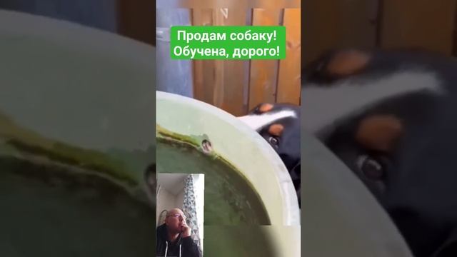 Лучший подарок женщине)