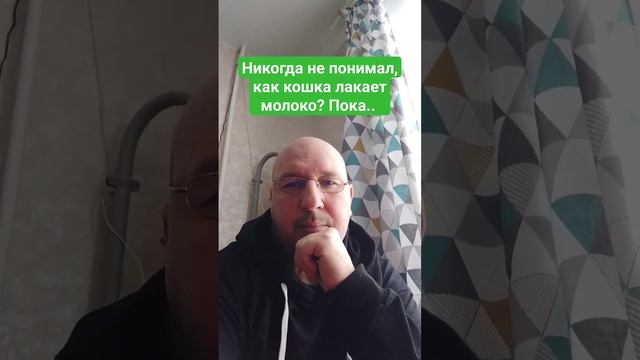 Всё познаётся в сравнении