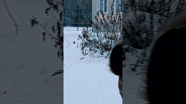 1000005673.mp4