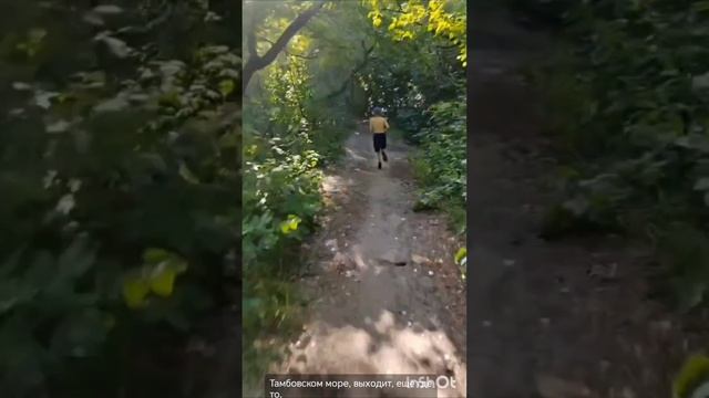 Скоростной бег🏃🌲 на 5км. Парк дружбы. Тамбов. 2024.
Алексей 10 лет.