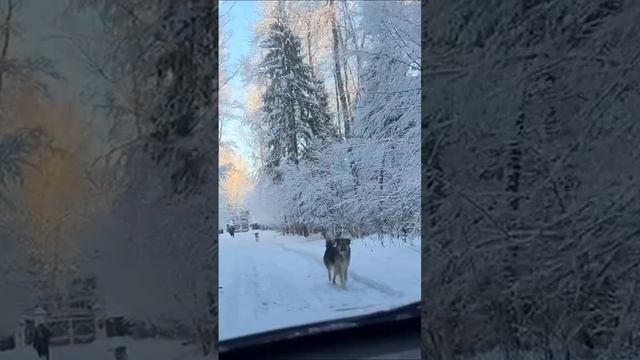 Зимняя сказка в любимом лагере Орлёнок