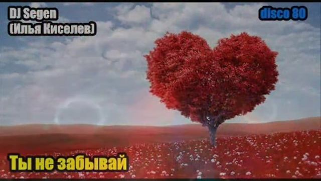 DJ Segen(Илья Киселев) Ты не забывай