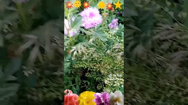 Ну какова красота!