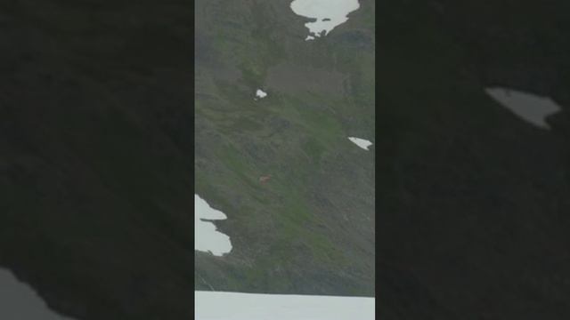 Аляска...