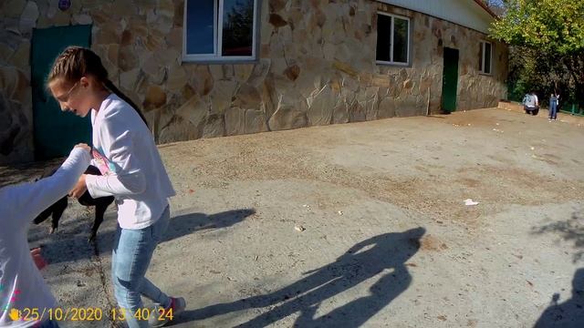 Парк Львов Тайган.Бабушкин Дворик.