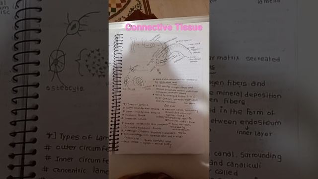 connective tissue handwritten notes