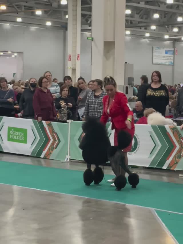Малис Майзер Е Сармат
