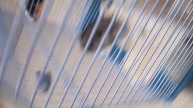 20250104_085914.mp4