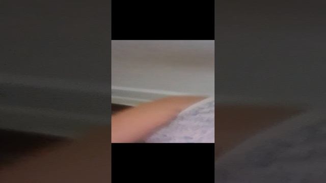 1000063214.mp4