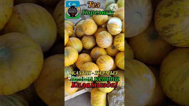 04-01-2025 РЫНОК-БАЗАР