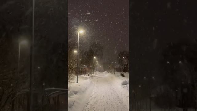 Зима. Снегопад