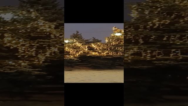 1000000996.mp4