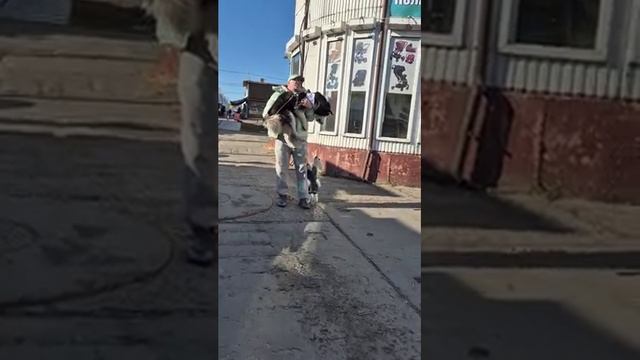 злой пёс