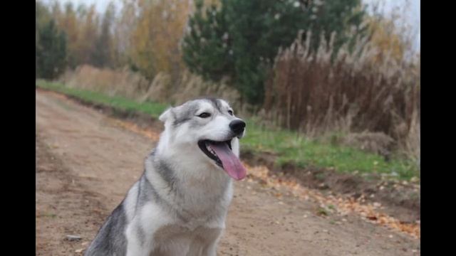 С днем рождения жопка 🎊 🎉