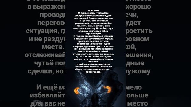 28 октября 2024 г.