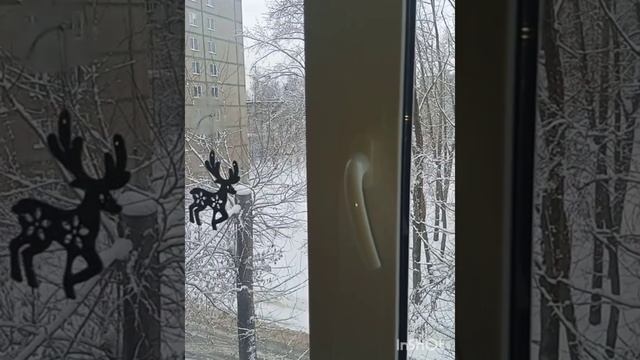 Пермь. 04.01.2025г.