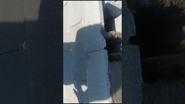 1000135786.mp4