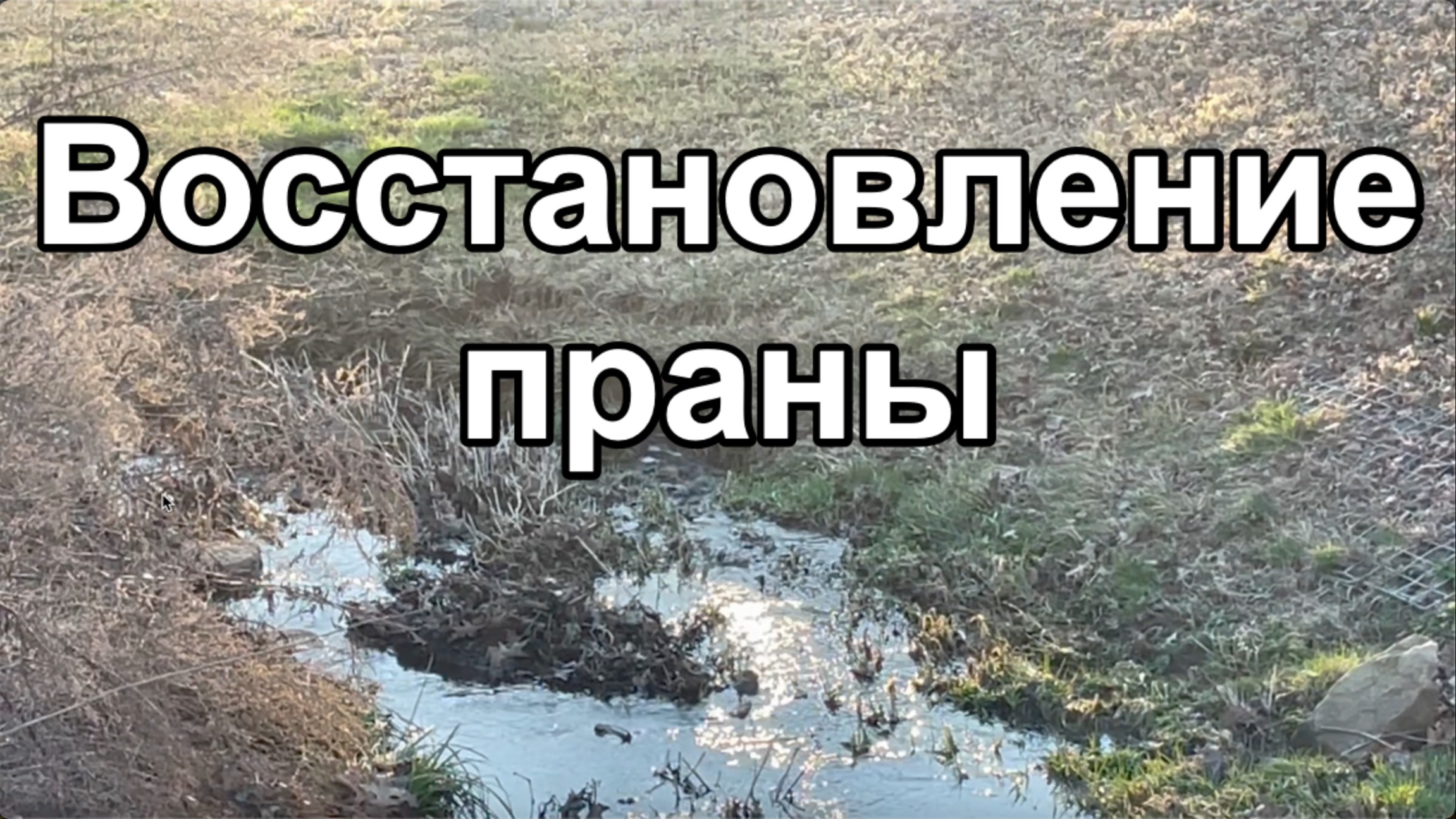 Восстановление праны