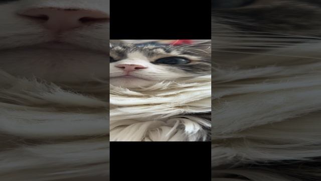 Кто кусается?