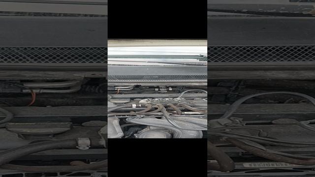 1000102507.mp4