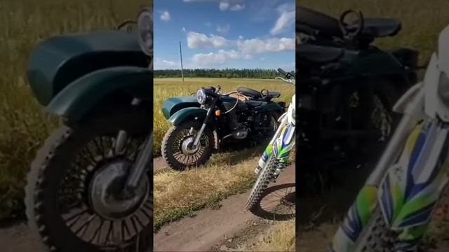 29 июля 2024 г.