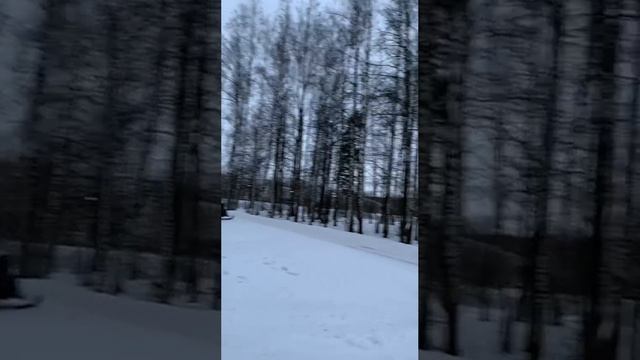 🌲🎄☃️❄️Полное видео на канале VLOG-23-12-23.Москва.Рассказ про Налоговую Инспекцию в Мещерском лесу