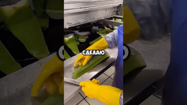 интимные дела за оценки