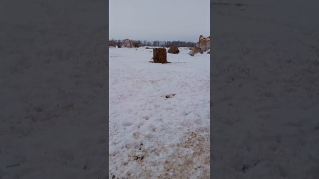 Снова новое пополнение😊